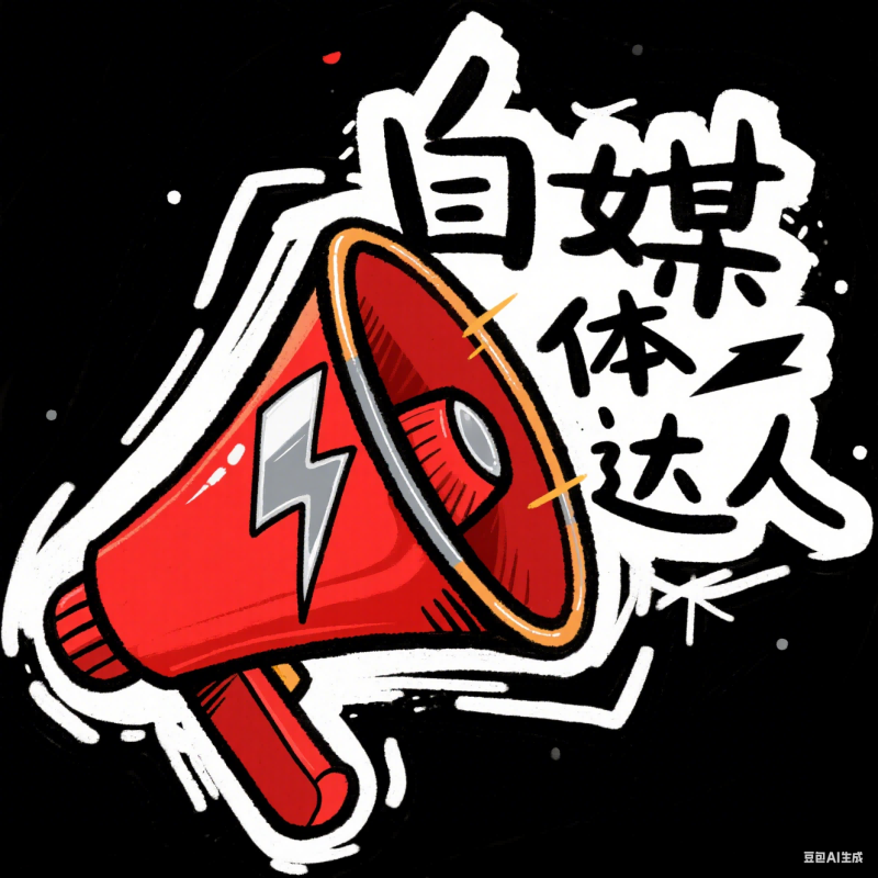 平台运营经历介绍